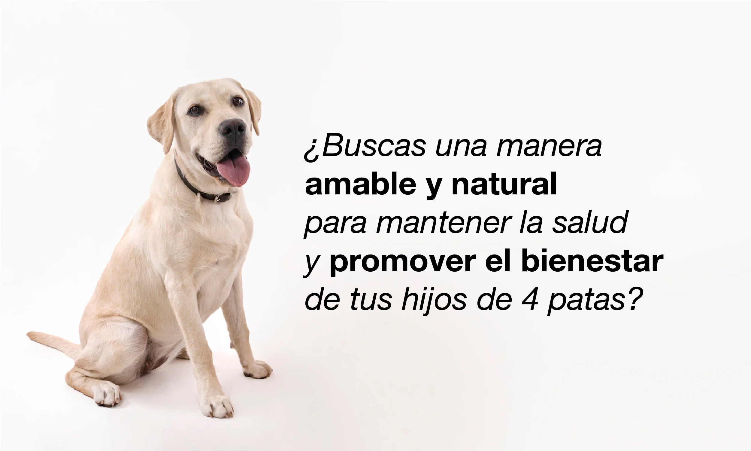 SLIDE-02