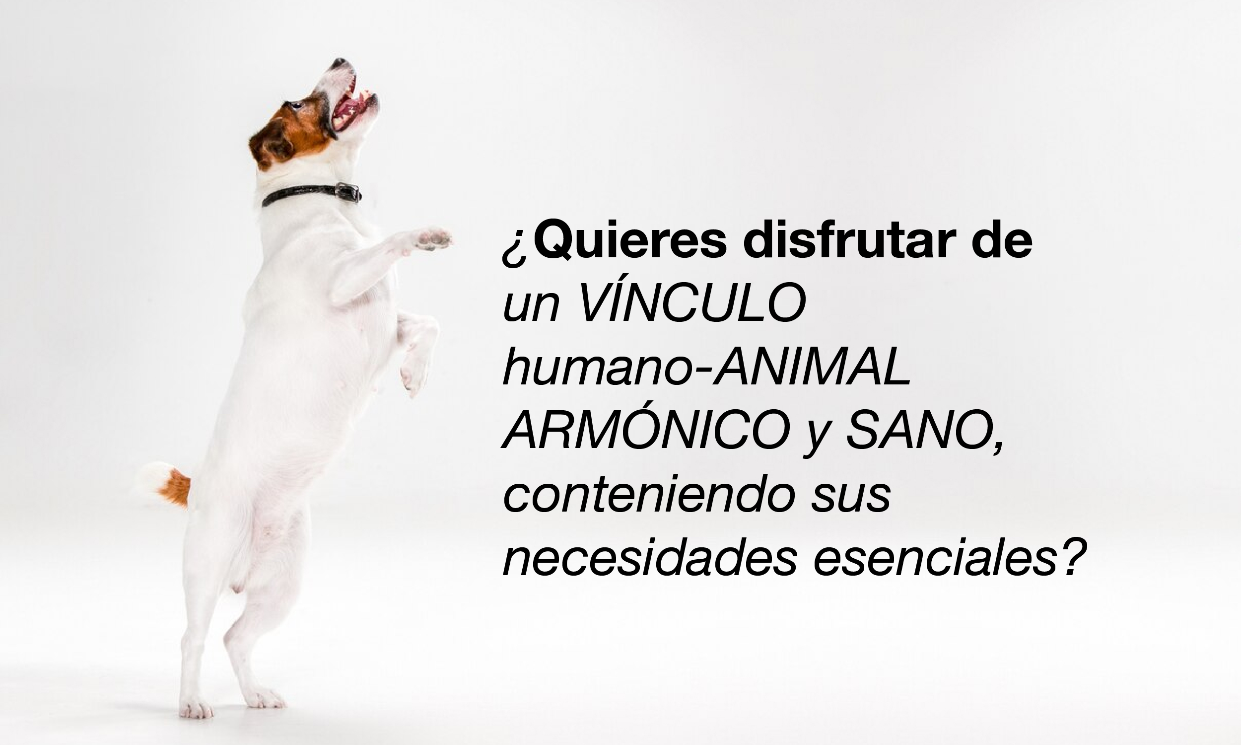 SLIDE-03