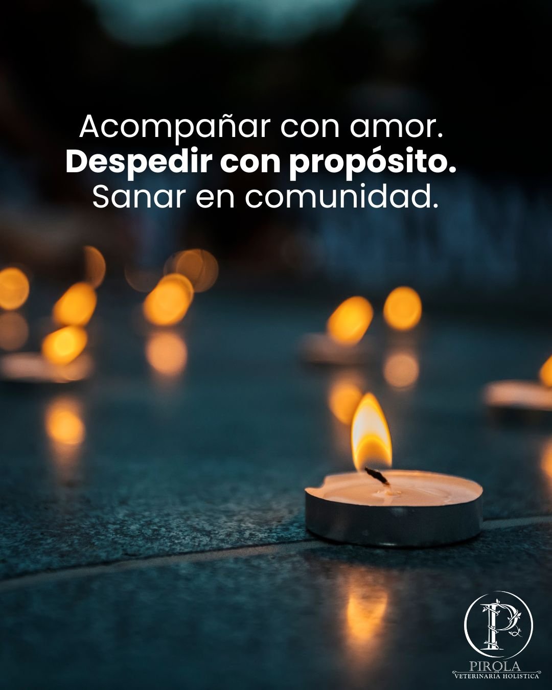 Altar con vela, foto y collar para honrar a un perro fallecido el 27 de octubre